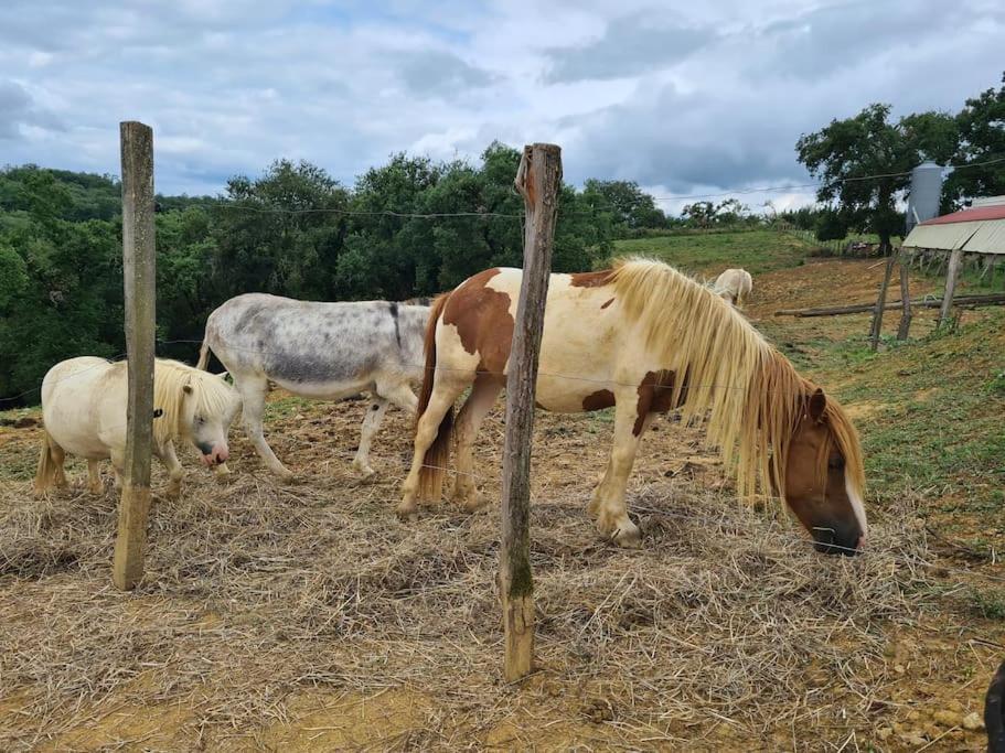 Villa Corps De Ferme Labarthe A Pimbo Esterno foto
